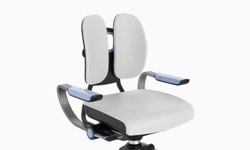 Working chair for the disabled